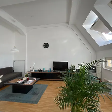 Loftcharakter Mit Schoener Aussicht Ueber