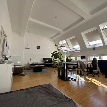 Loftcharakter Mit Schoener Aussicht Ueber